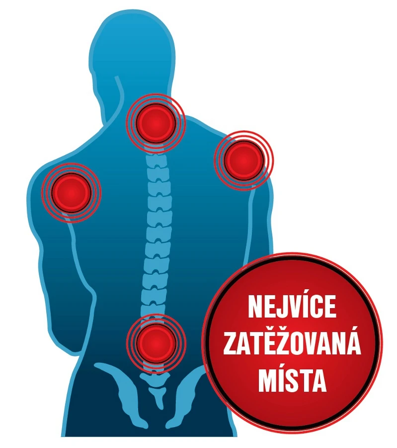 belaste wervelkolom