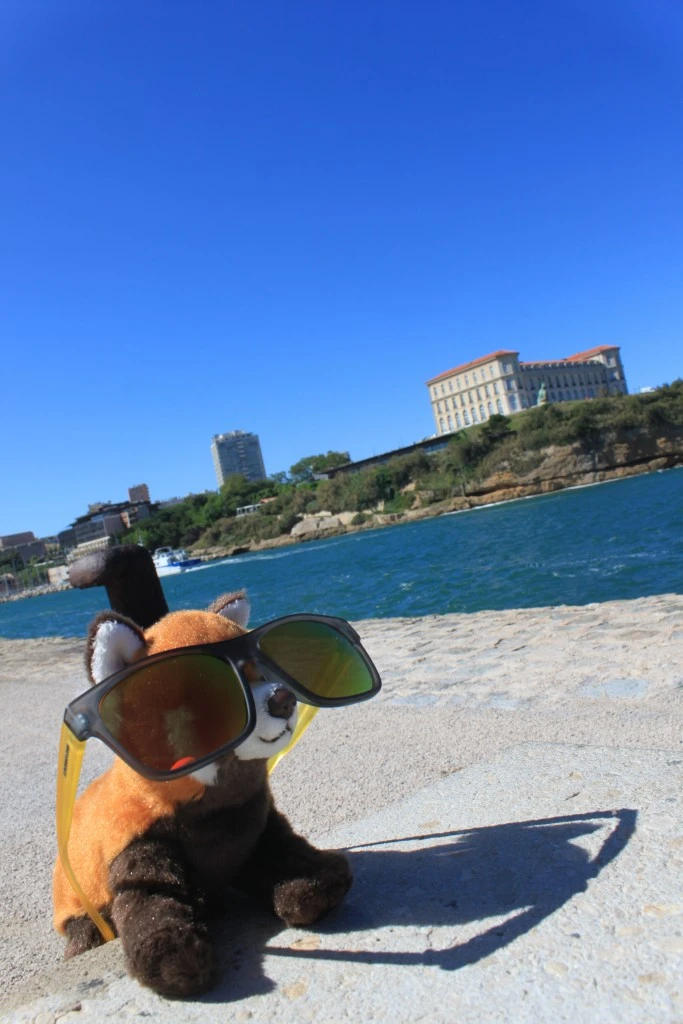 Panda in Marseille