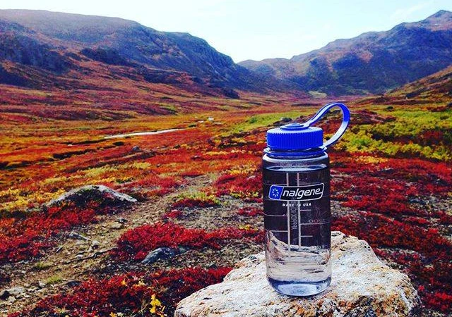 Nalgene fles