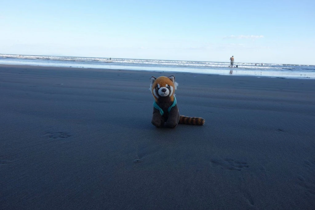 panda op steps