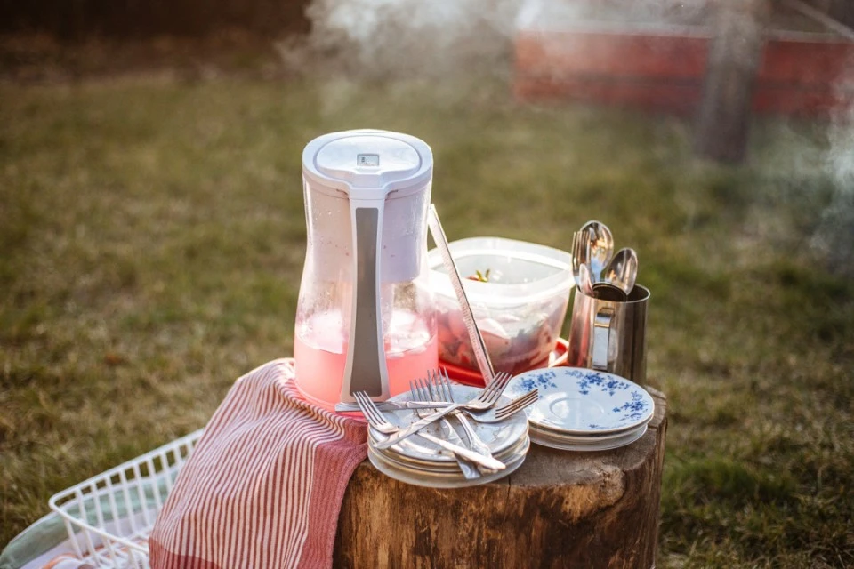 Picknick met vrienden