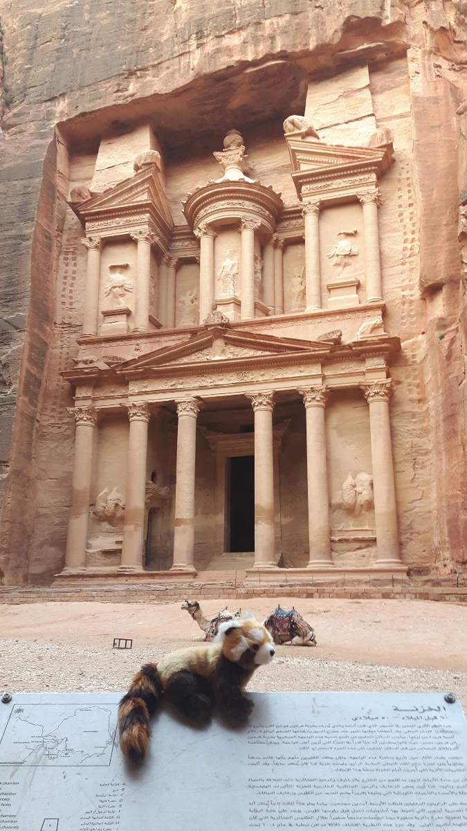 panda in Jordanië