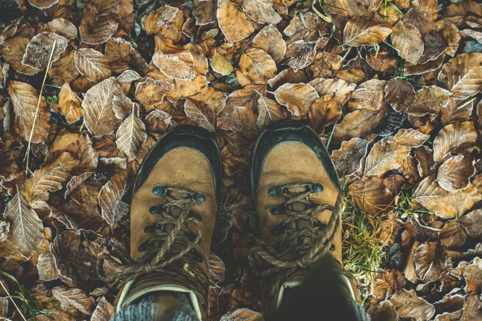 Trekking - wandelen in de natuur