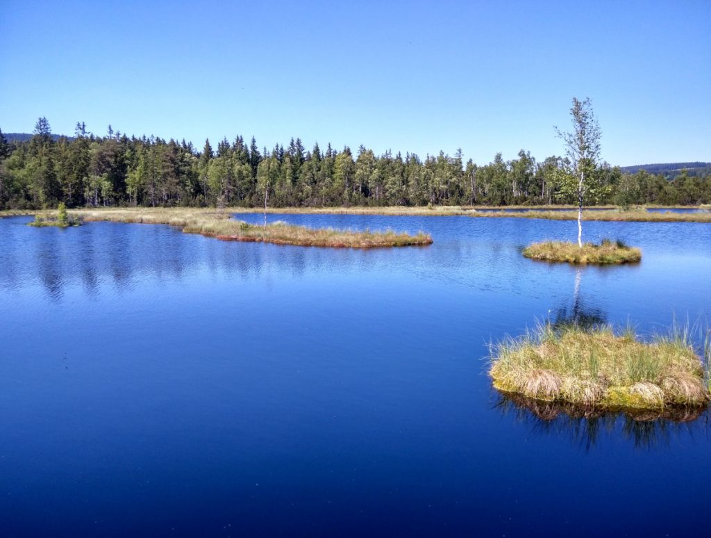 Chalupská slať Šumava