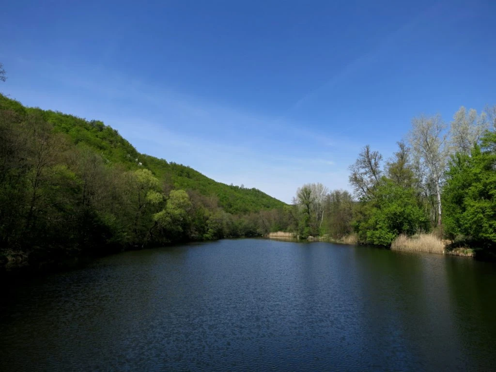Uitzicht op de rivier de Dyje