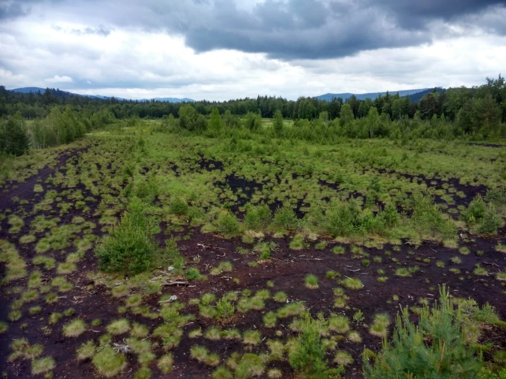 Soumarské-veen